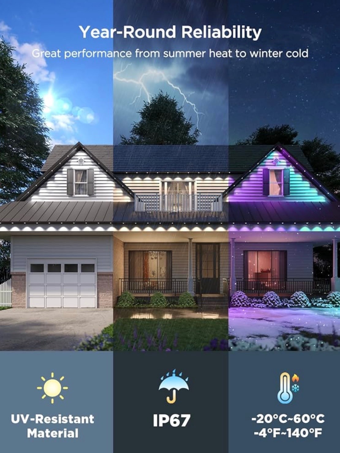 Landscape Accent Lighting